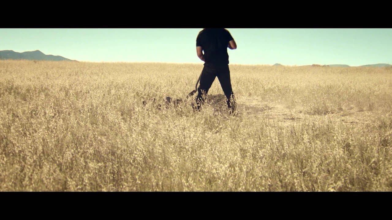 Cover Superstar Reveal Trailer