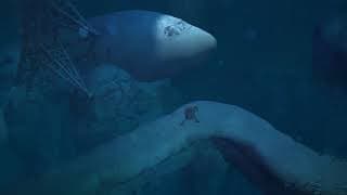 Console Launch Trailer