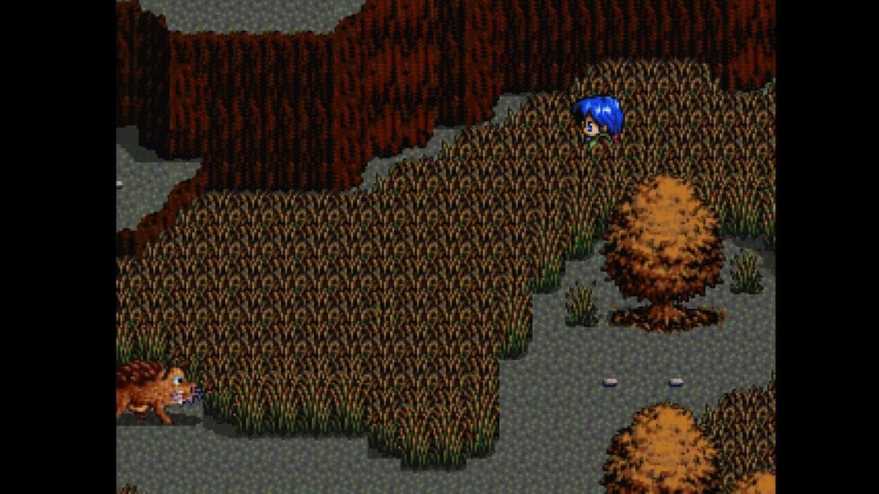 Gameplay Video