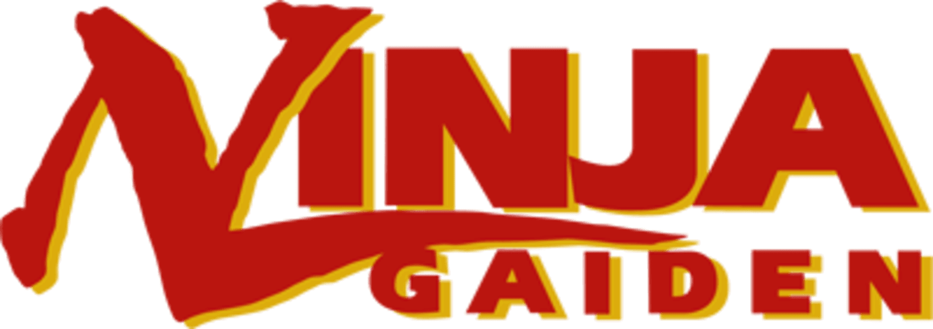 Ninja Gaiden artwork 2