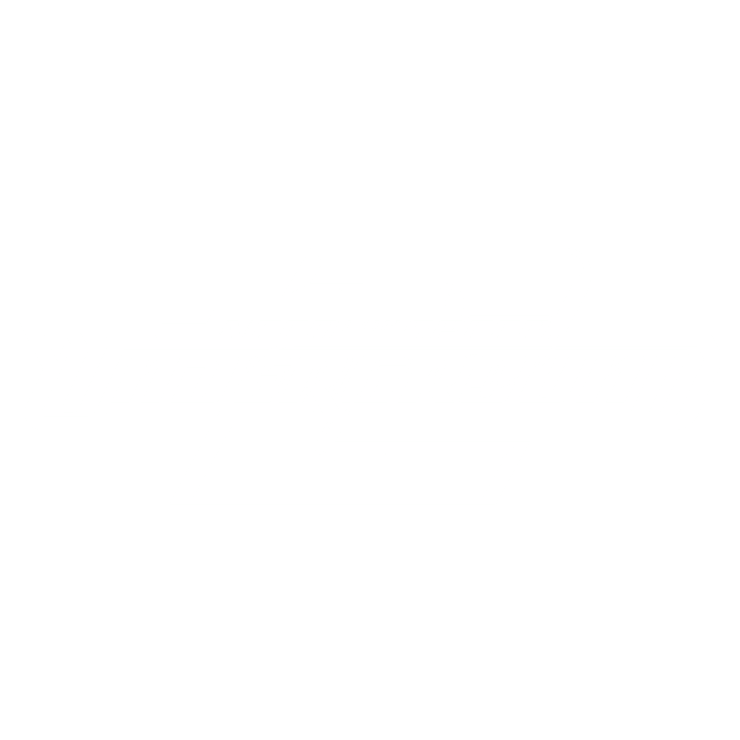 Need for Speed: Underground 2 artwork 1