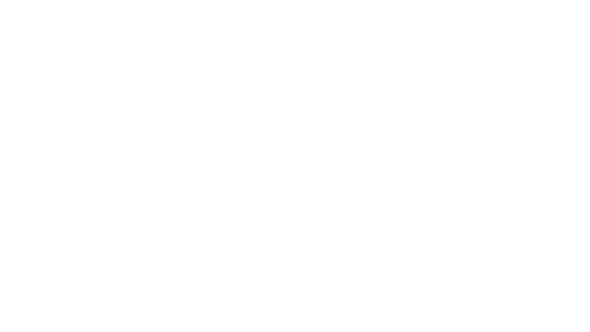 Pinsky Protocol artwork 2