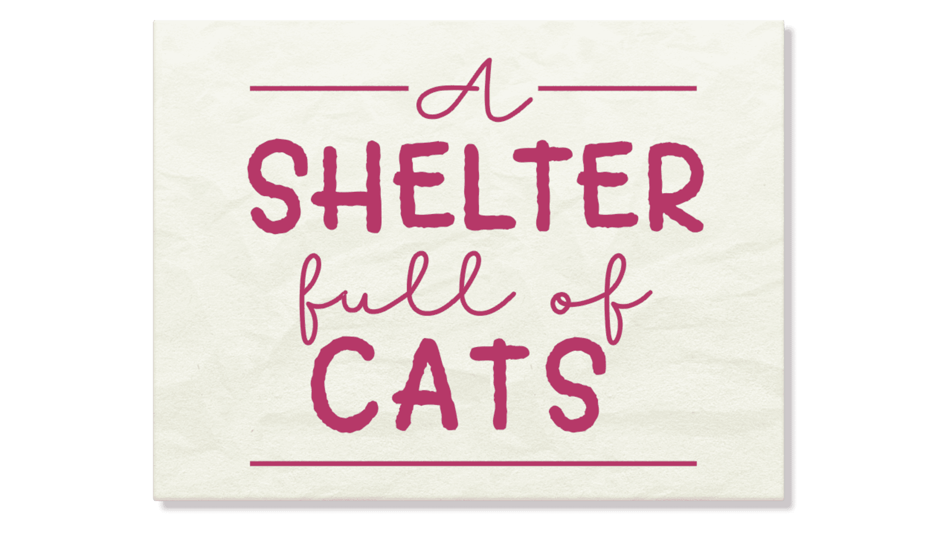 A Shelter Full of Cats artwork 2