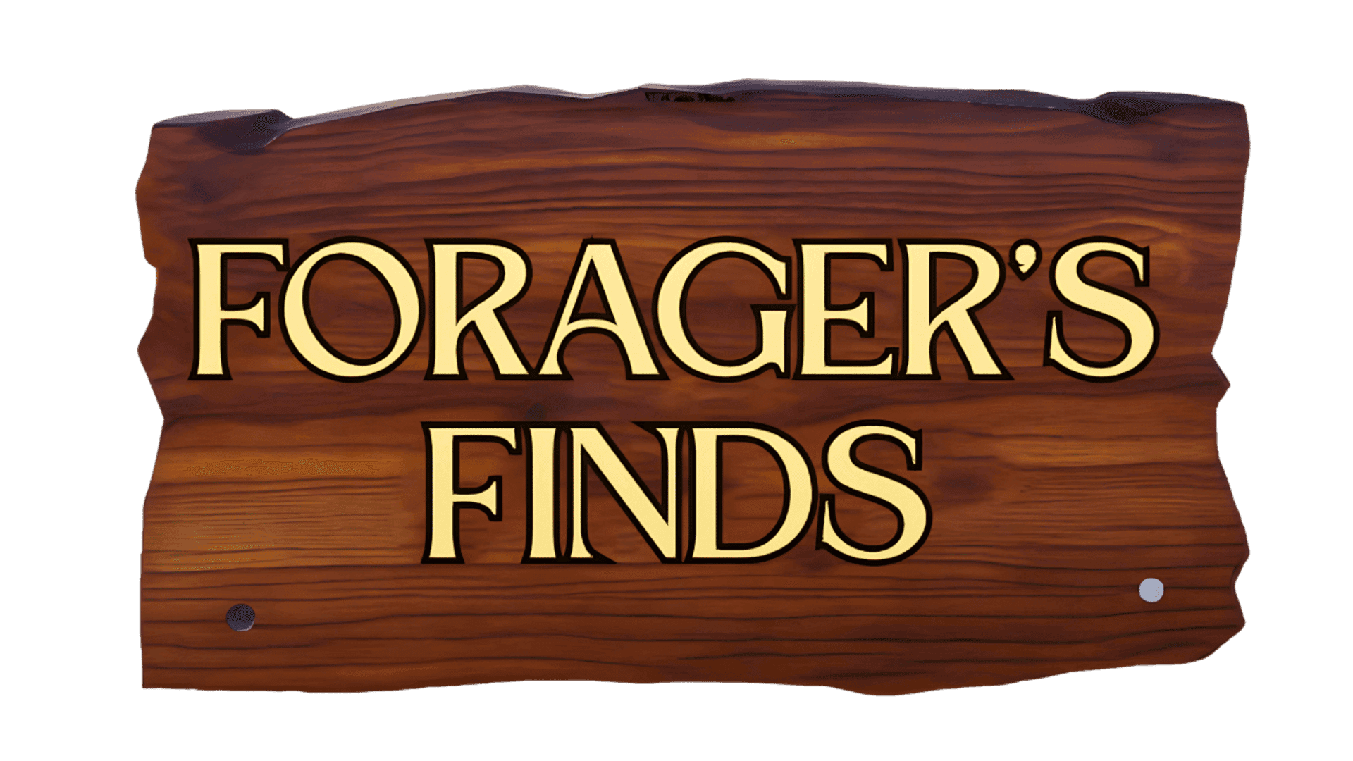 Forager's Finds artwork 2