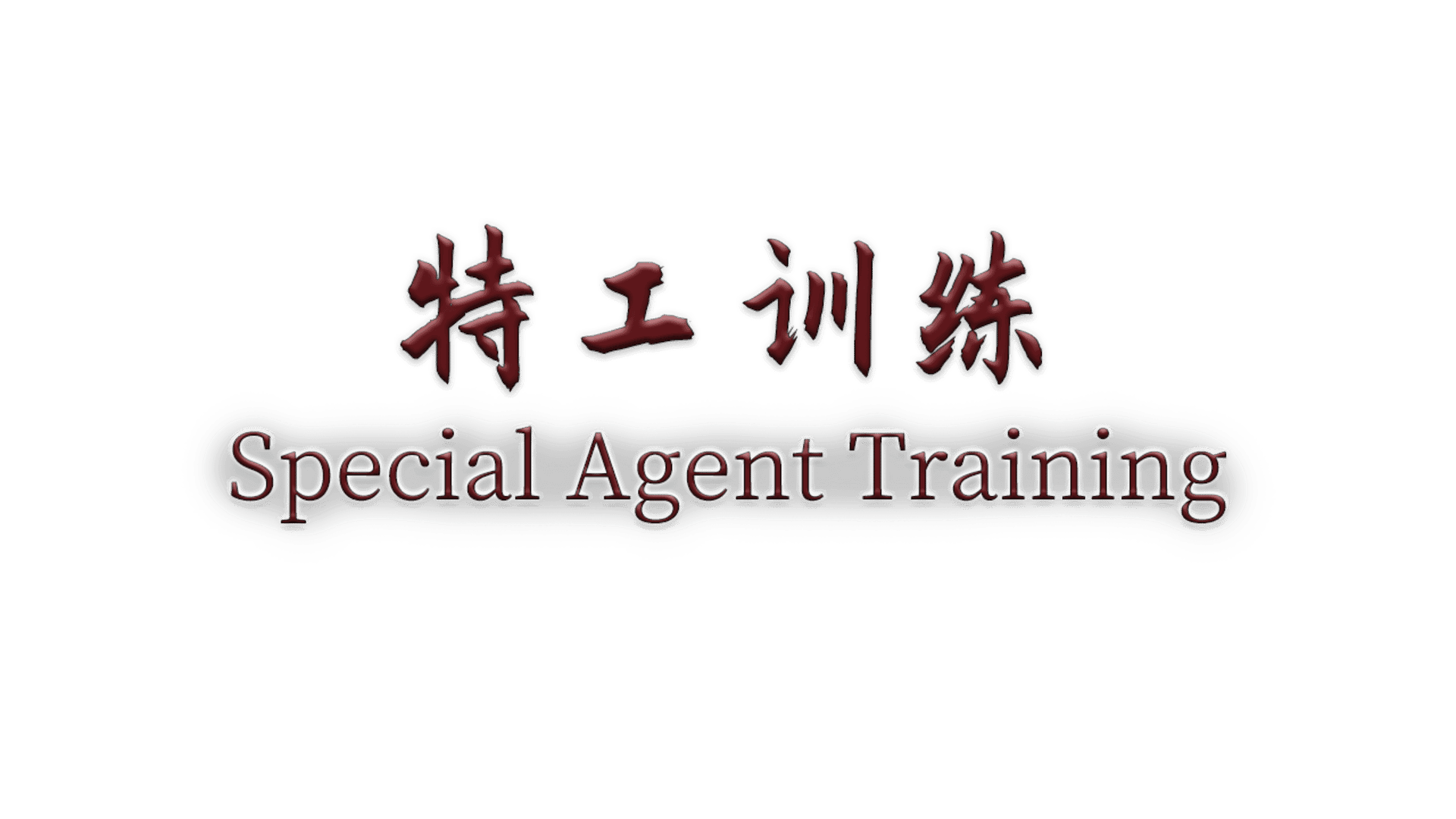 Special Agent Training artwork 2