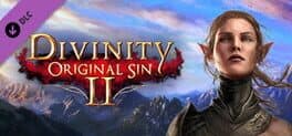 Divinity: Original Sin 2 - Divine Ascension