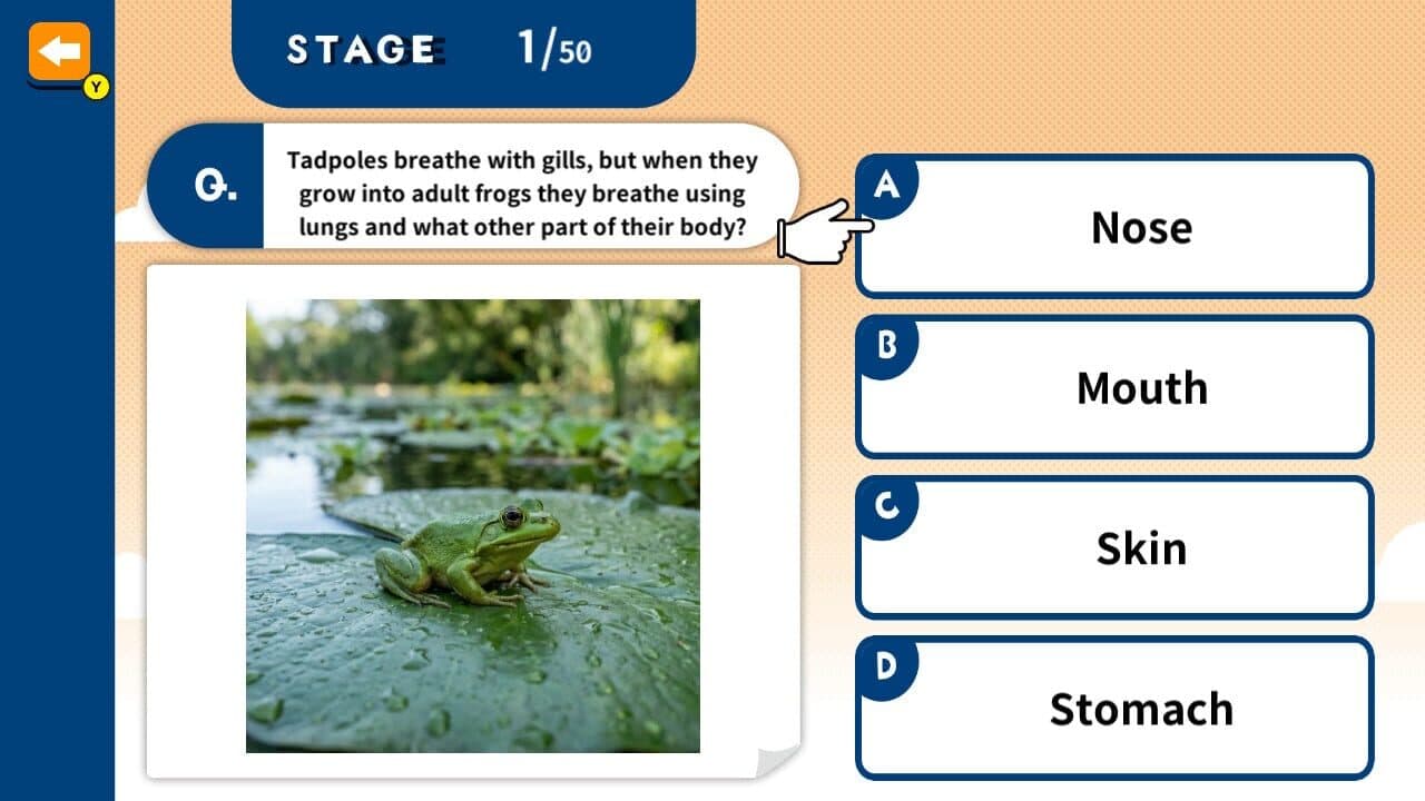 Challenge Together! Elementary School Quiz screenshot 1