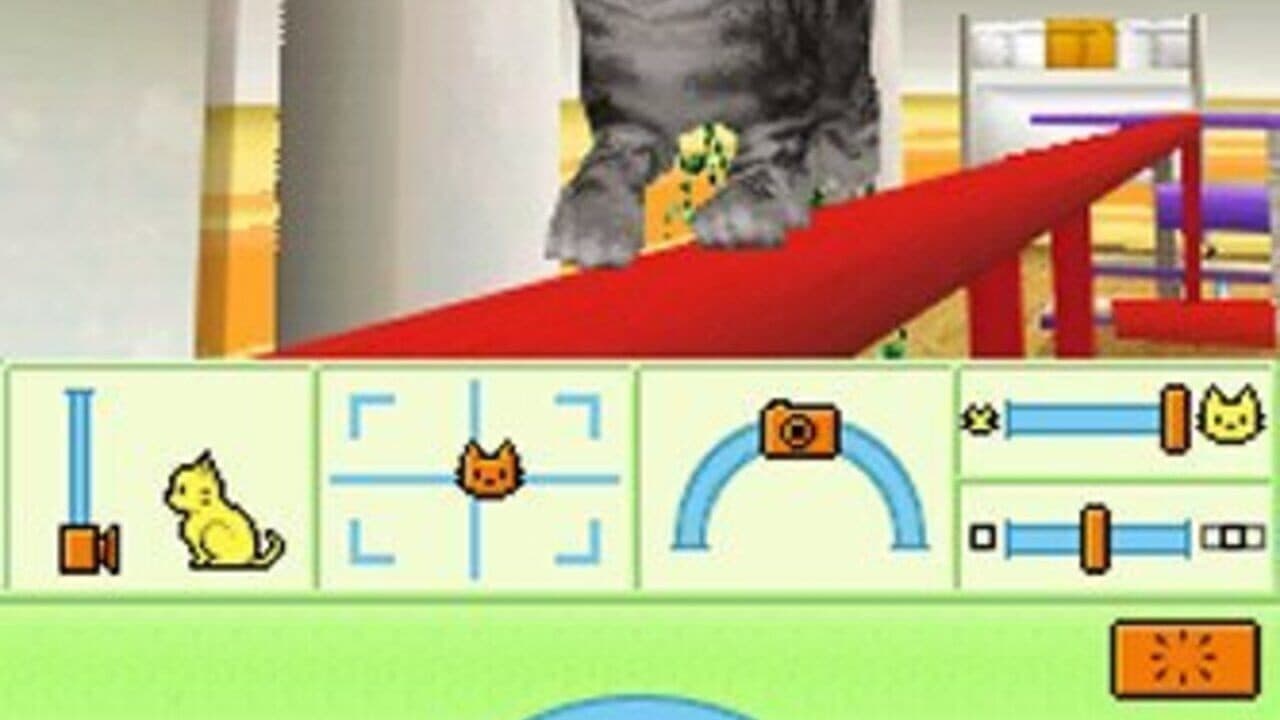 Petz: Catz Playground screenshot 1