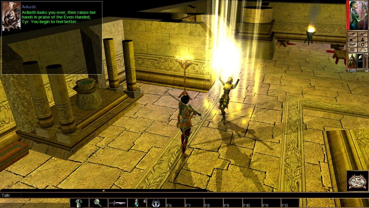 Neverwinter Nights: Enhanced Edition screenshot 1