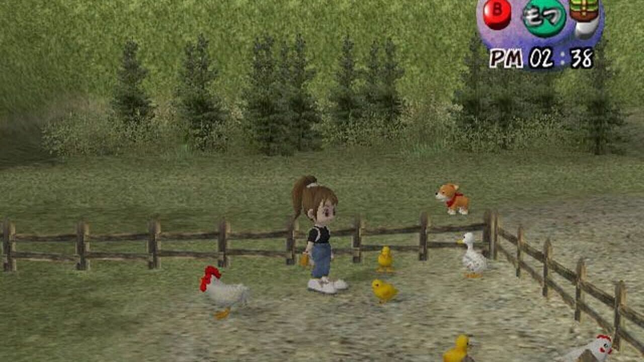 Harvest Moon: Another Wonderful Life screenshot 1