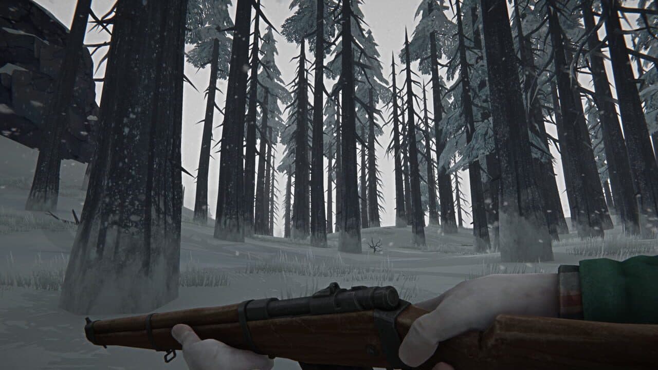 The Long Dark screenshot 1