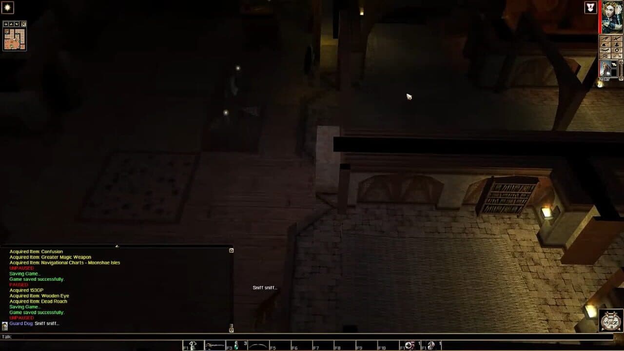Neverwinter Nights: Pirates of the Sword Coast screenshot 1