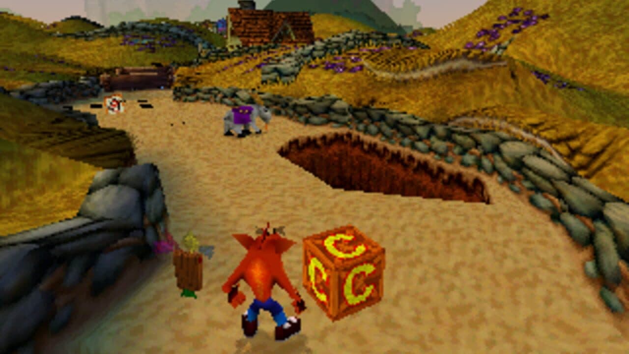 Crash Bandicoot Collectors' Edition screenshot 1