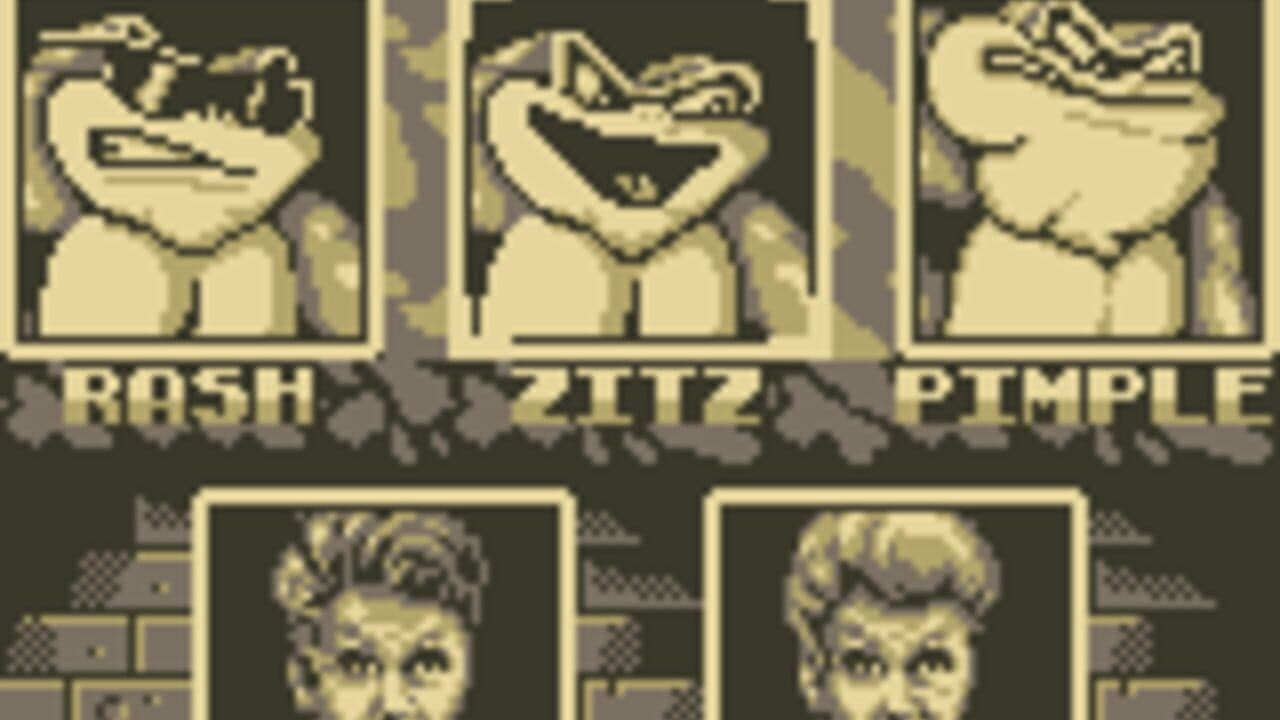 Battletoads / Double Dragon screenshot 1