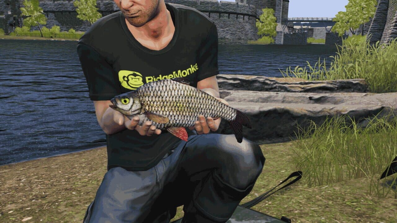 Euro Fishing: The Moat screenshot 1