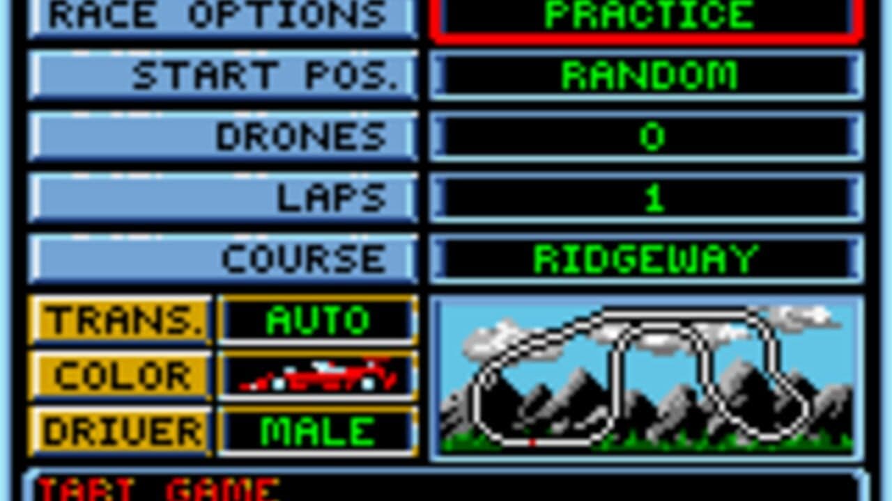 Checkered Flag screenshot 1