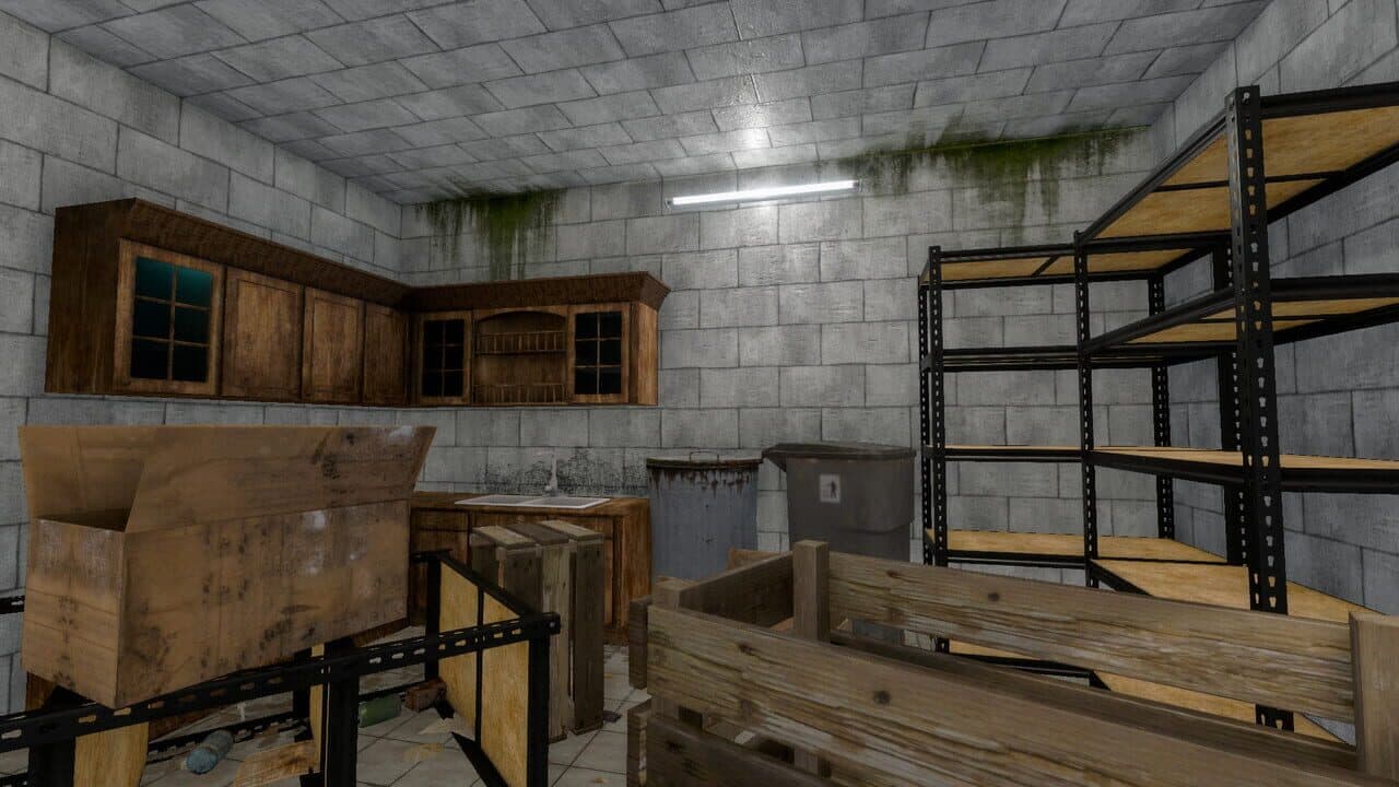 House Flipper: Apocalypse screenshot 1