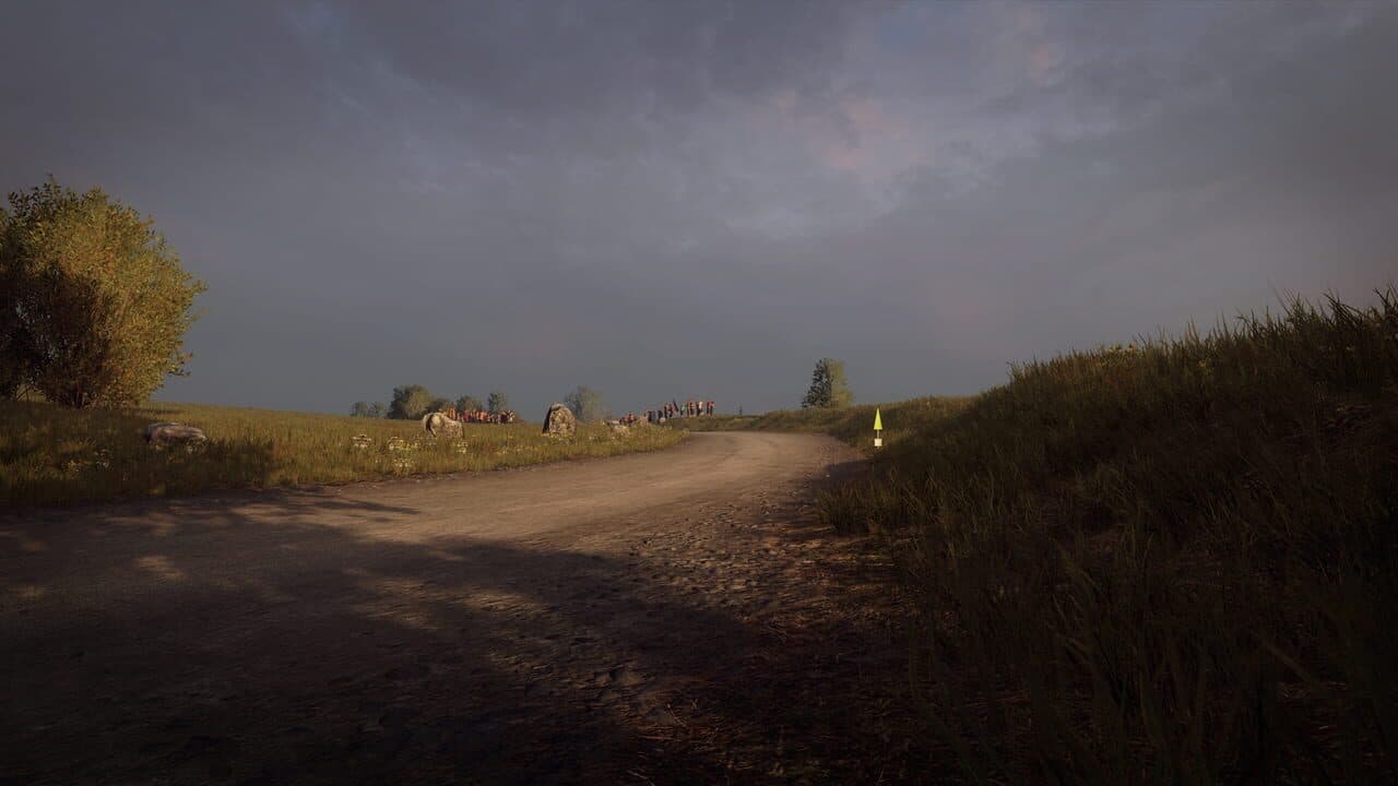 DiRT Rally 2.0: Germany (Rally Location) screenshot 1
