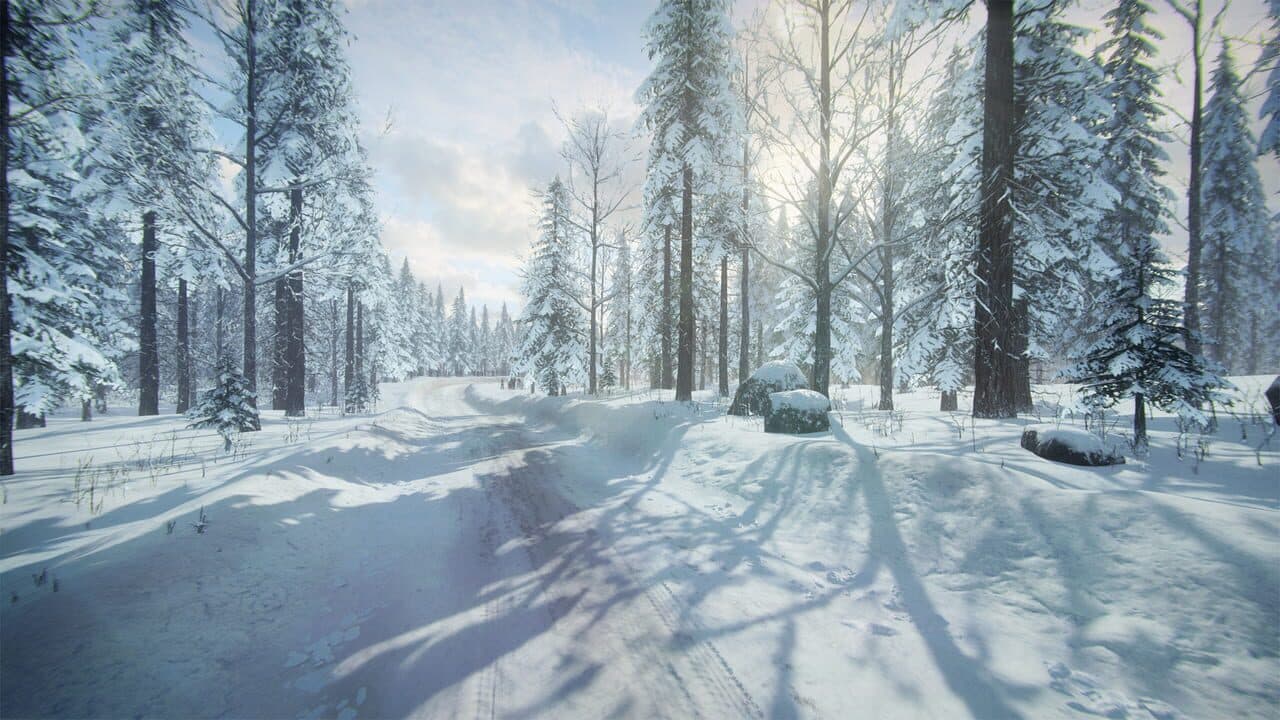 DiRT Rally 2.0: Sweden (Rally Location) screenshot 1