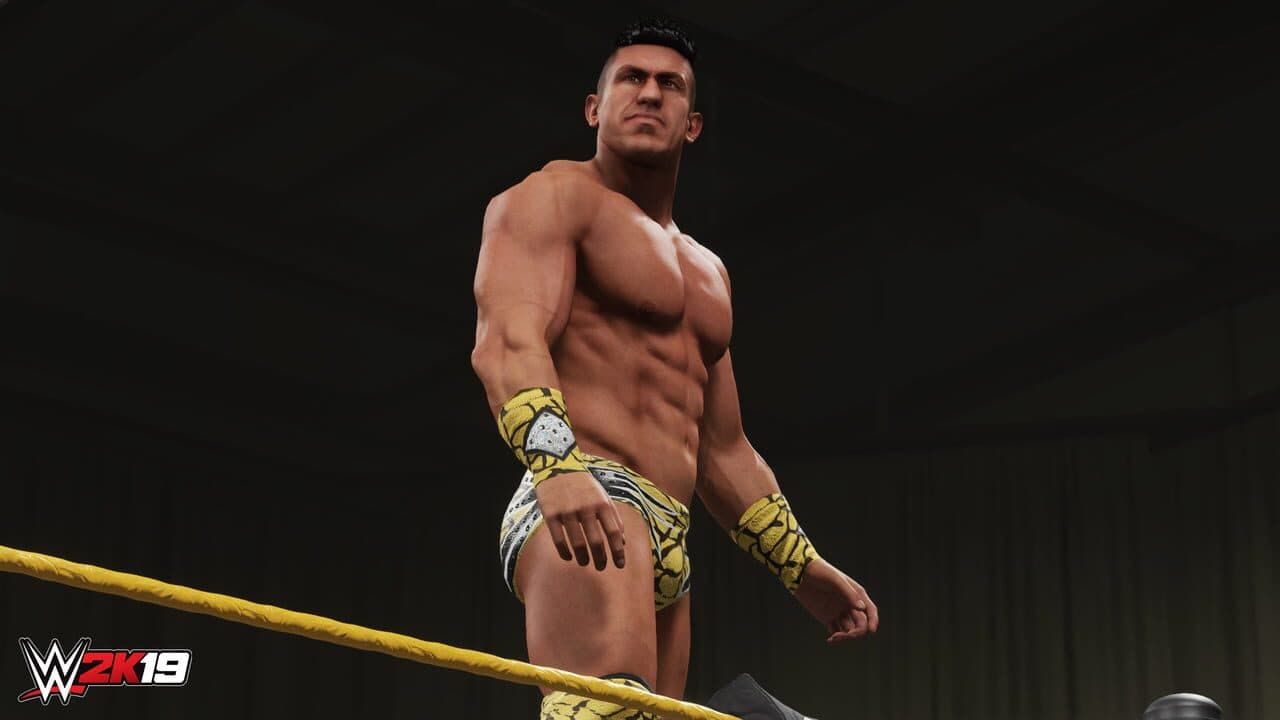 WWE 2K19: Titans Pack screenshot 1