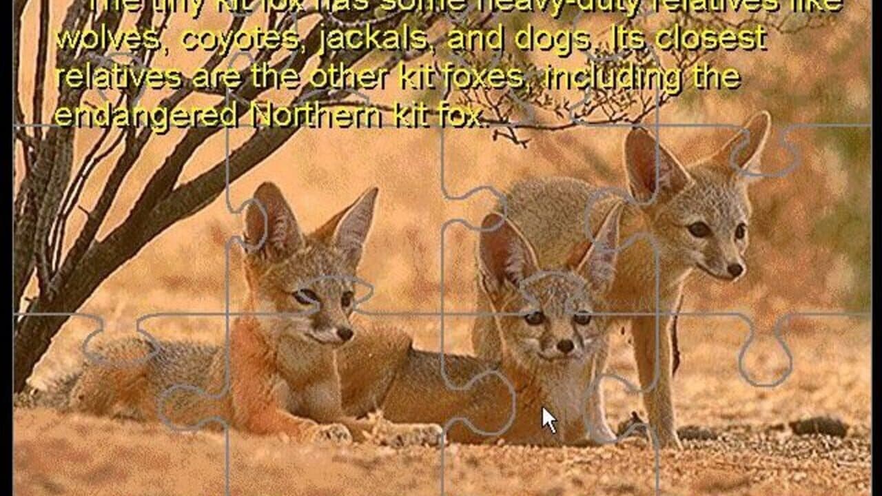 David Bellamy's Endangered Wildlife screenshot 1