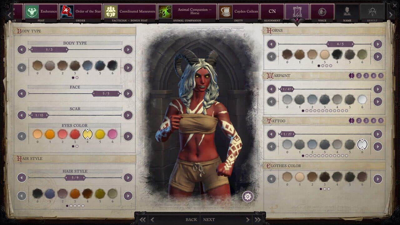 Pathfinder: Wrath of the Righteous - Paint of War screenshot 1