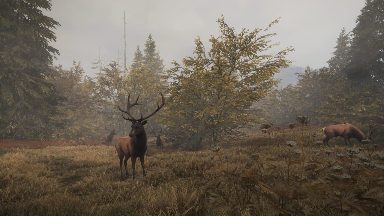 TheHunter: Call of the Wild - Facing the Wild 1 screenshot 1