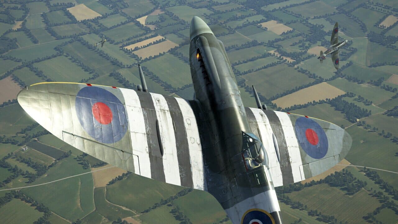 IL-2 Sturmovik: Battle of Stalingrad - Spitfire Mk.XIV Collector Plane screenshot 1