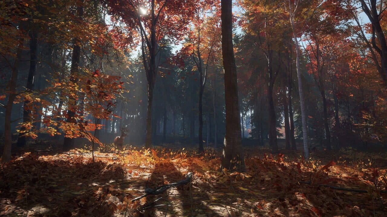 TheHunter: Call of the Wild - New England Mountains screenshot 1