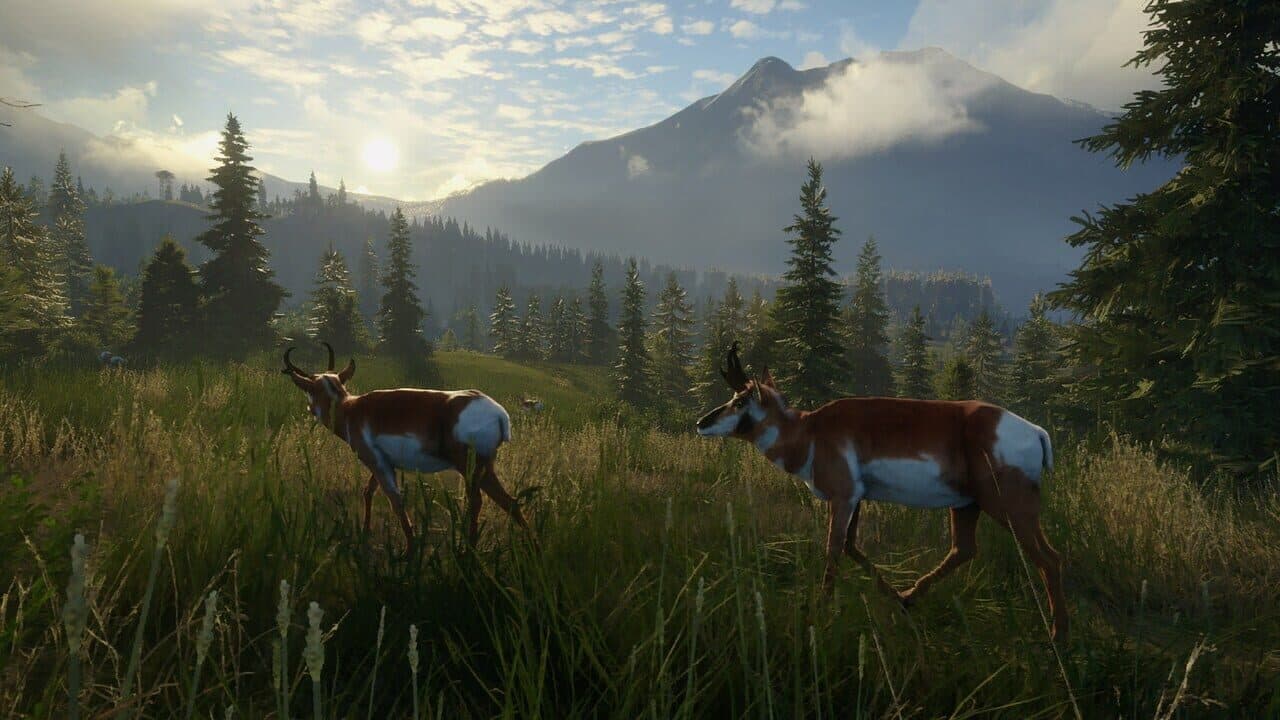 TheHunter: Call of the Wild - Seasoned Hunter Bundle screenshot 1