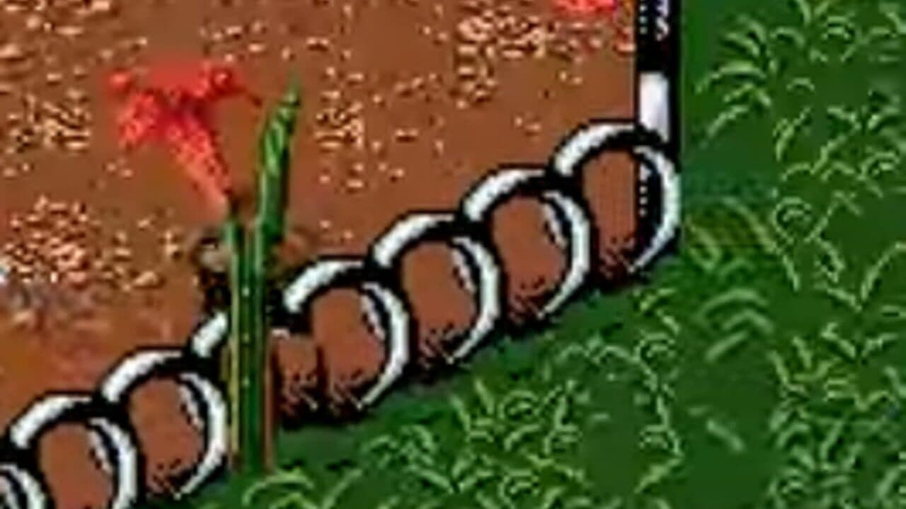 Antz Racing screenshot 1