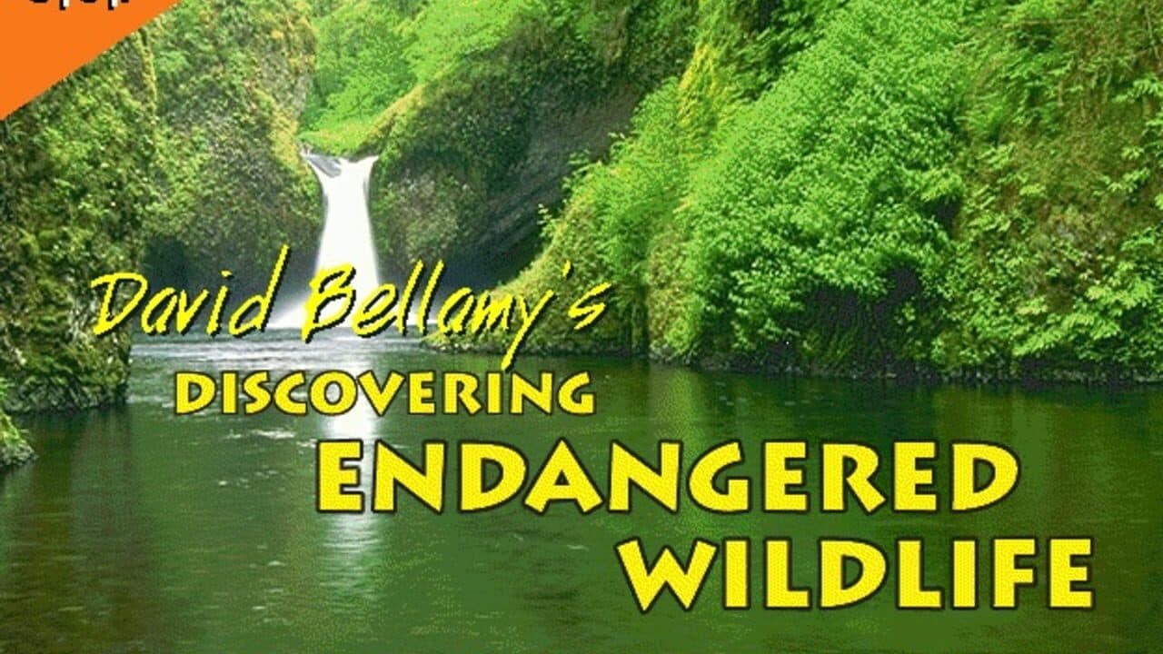 Discovering Endangered Wildlife screenshot 1