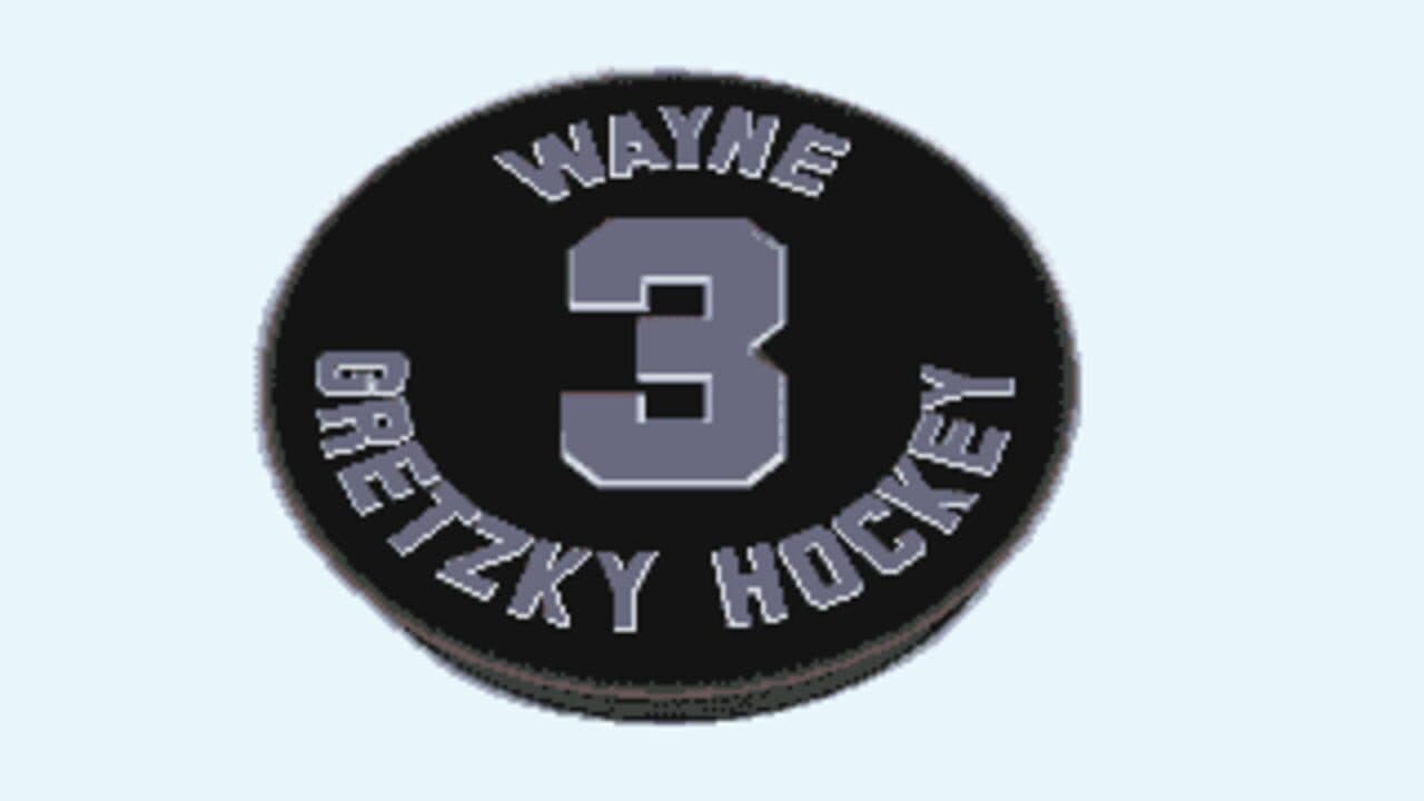 Wayne Gretzky Hockey 3 screenshot 1