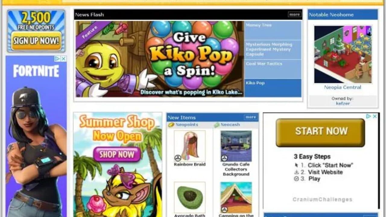 Neopets Browser screenshot 1