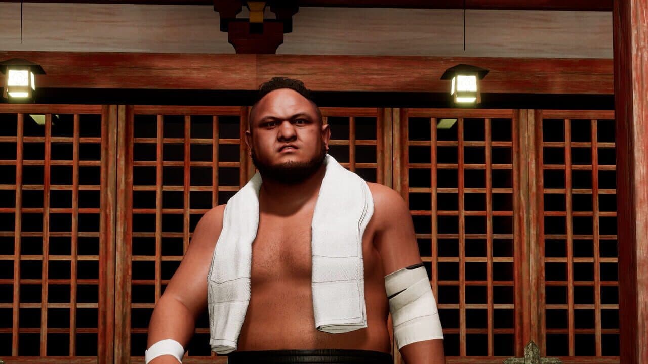 All Elite Wrestling: Fight Forever - World War Joe screenshot 1