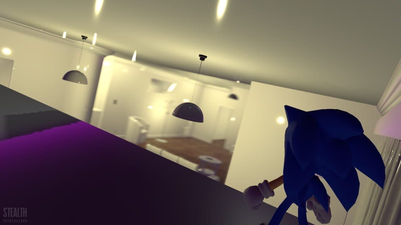 Stealth The Hedgehog screenshot 1