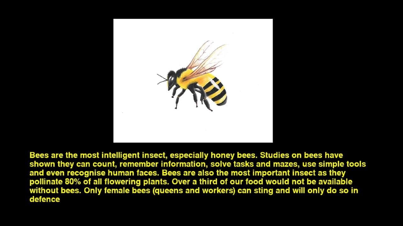 Quiz & Learn: Animals screenshot 1