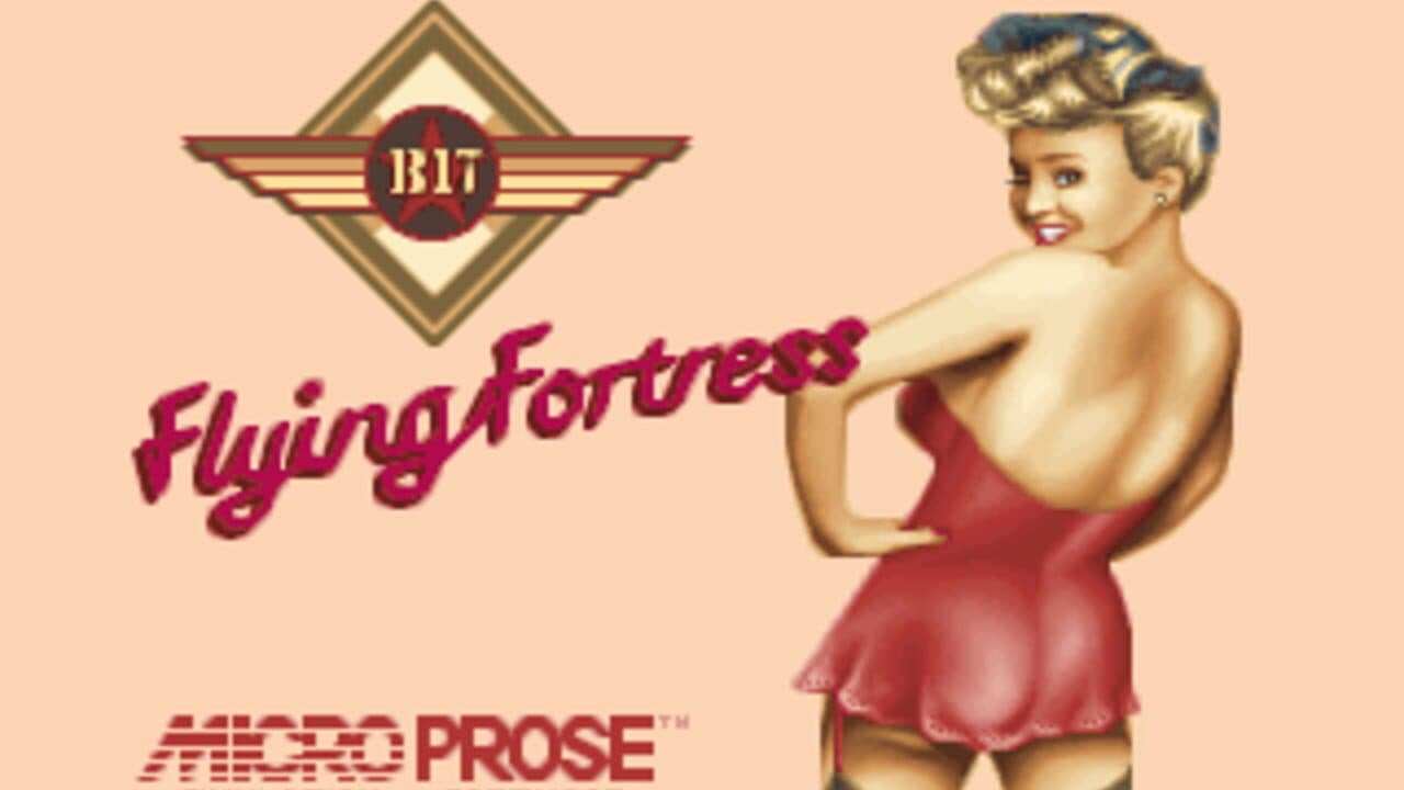 B17 Flying Fortress screenshot 1