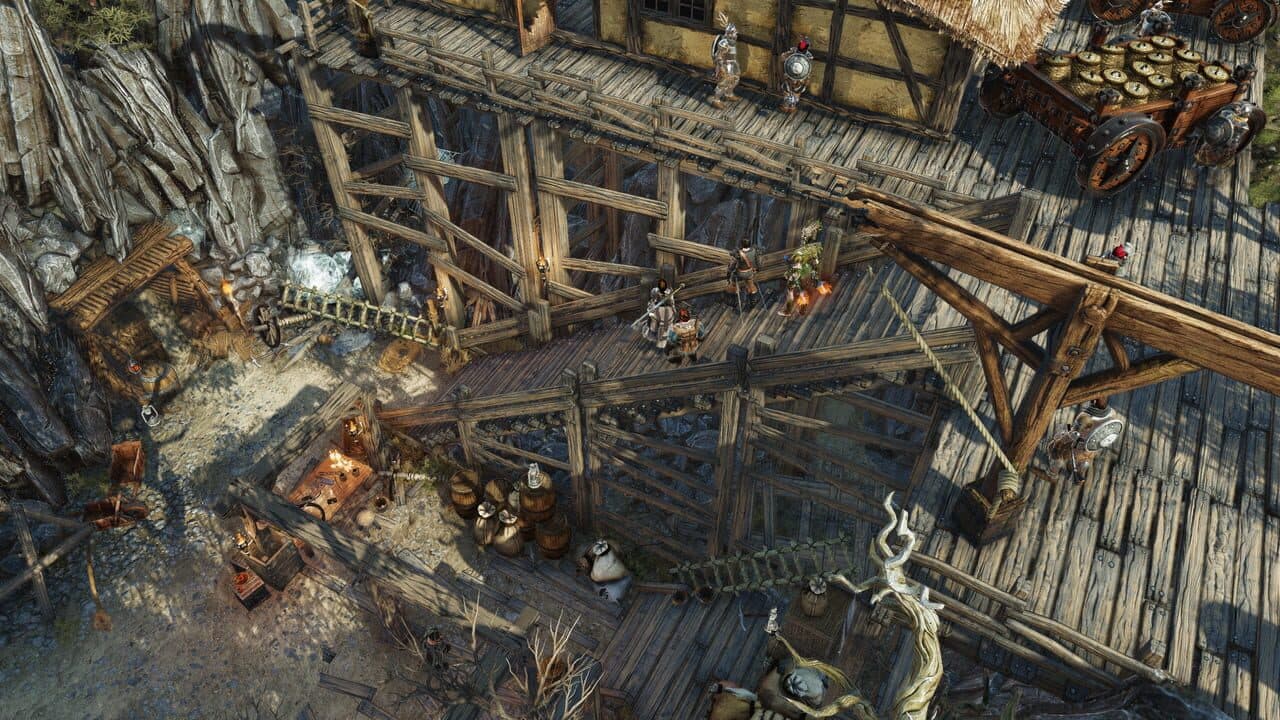Divinity: Original Sin II screenshot 1