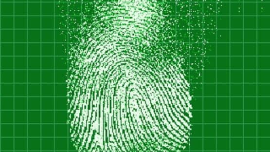 Apollo Justice: Ace Attorney screenshot 10