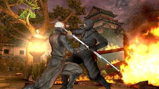 Tenchu: Shadow Assassins screenshot 4
