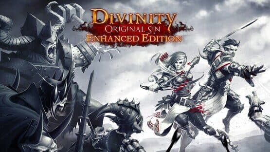 Divinity: Original Sin - Enhanced Edition artwork 2