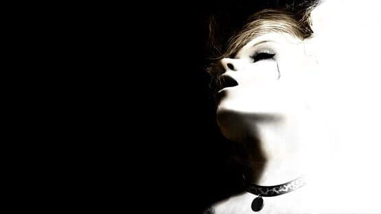 Silent Hill HD Collection artwork 1