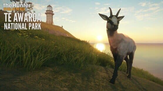 TheHunter: Call of the Wild - Te Awaroa National Park artwork 2