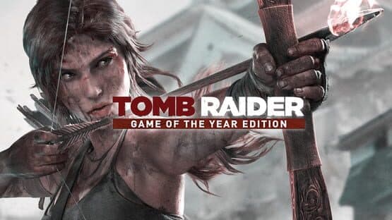 Tomb Raider: Game of the Year Edition artwork 1