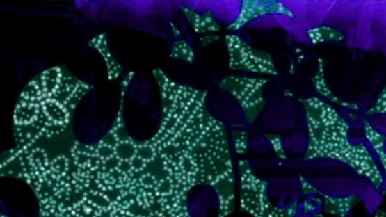 Touhou Chireiden: Subterranean Animism artwork 1