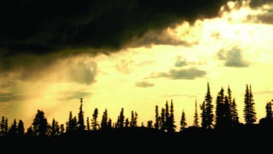 Kingdom Under Fire: Heroes artwork 1