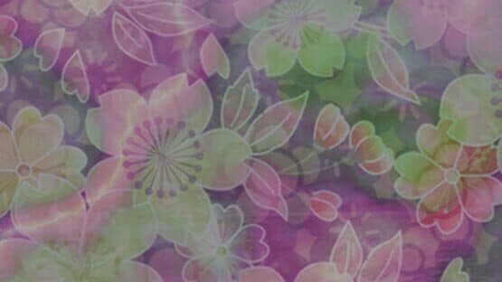 Yousei Daisensou: Touhou Sangetsusei artwork 1