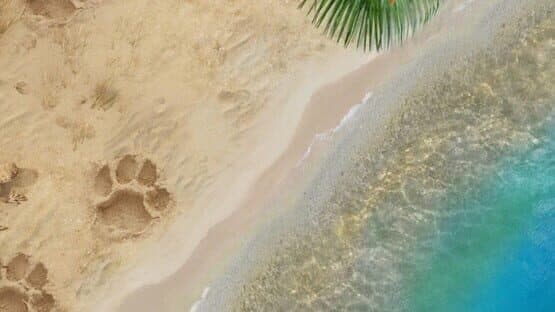 Magic Griddlers 2 artwork 1