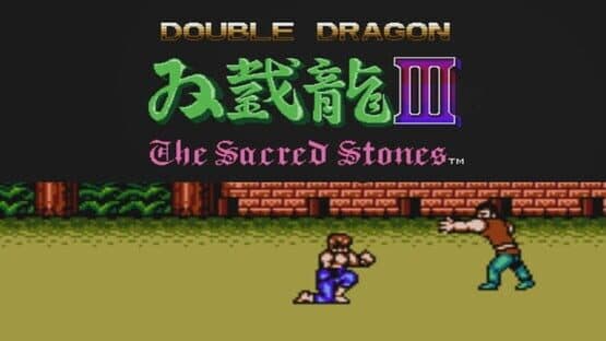 Double Dragon III: The Sacred Stones artwork 1